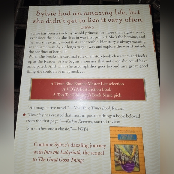 Book: The Great Good Thing by Roderick Townley - Picture 4 of 4